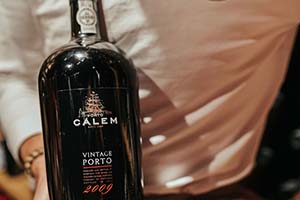 Gallery Gastrovino Leidsenhage