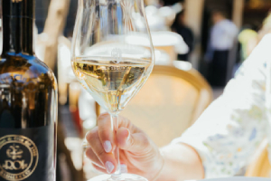 Gallery Gastrovino Schevenignen